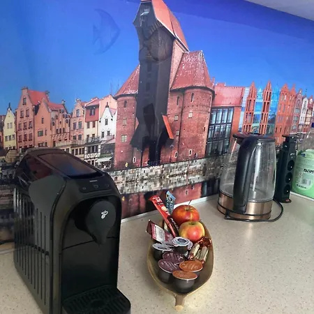 Gdanska Marina- Srodmiescie 格但斯克