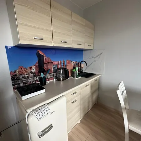 Gdanska Marina- Srodmiescie * 格但斯克