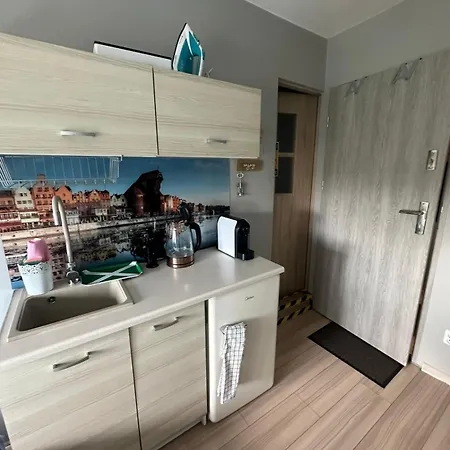 Gdanska Marina- Srodmiescie * Danzica