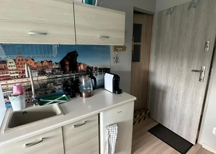 Gdanska Marina- Srodmiescie * Gdaňsk